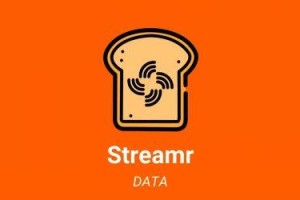 什么是Stramr(DATA)币