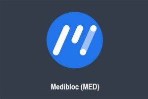 什么是MdiBloc(MD)币