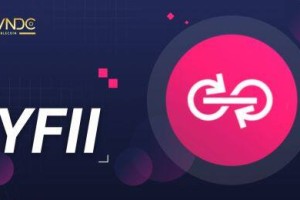 什么是DFI.Mony(YFII)币