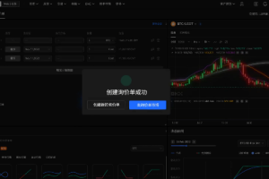 欧意交易平台支持国内付款方式吗