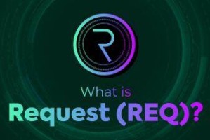 什么是Rqust(RQ)币