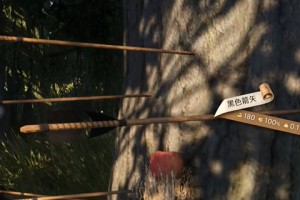 《天国：拯救2》黑色箭矢获取方法介绍