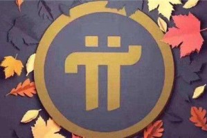 Pi币未来前景怎么样