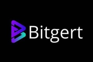 什么是Bitgrt(BRIS)币