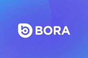什么是BORA币