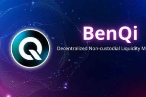 什么是BNQI(QI)币