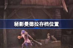 秘影曼德拉存档位置 秘影曼德拉存档位置说明