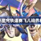 崩坏星穹铁道赛飞儿培养材料有哪些 崩坏星穹铁道赛飞儿培养材料获取