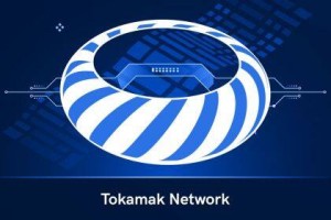 什么是Tokamak Ntwork(TON)币