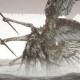 《剑星》上古孽奇拔BOSS打法技巧分享