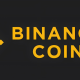 如何使用BIAN支付付款