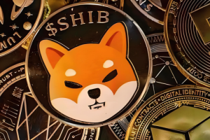 哪个交易平台比较适合新手