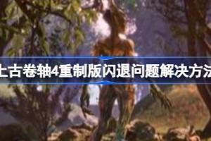 上古卷轴4重制版闪退问题 上古卷轴4重制版闪退问题解决方法