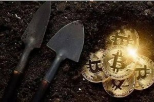DP币价格未来预测
