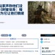 《刺客信条：影》玩家调查：大部分人没有打通游戏