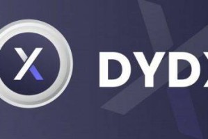 dYd币是什么币种
