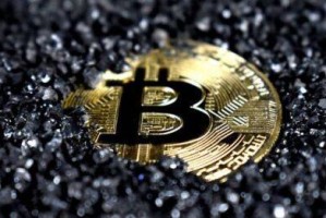 pig币猪币最新消息