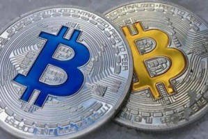 Bitcoin SV（BSV）历史价格分析