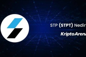 什么是STPT币?