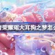 王者荣耀瑶大耳狗之梦怎么样 王者荣耀瑶大耳狗之梦皮肤特效一览