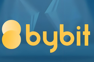 Bybit如何链上提币