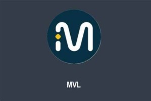 什么是MVL币