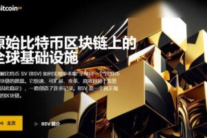 BSV币是什么币种