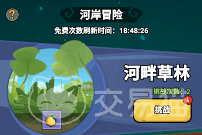 伴你同行新手入门教程 伴你同行基础玩法与快速上手指南