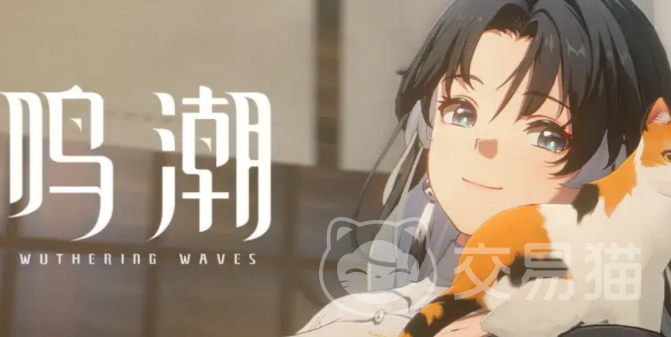 鸣潮自抽号怎么交易 鸣潮账号交易平台推荐