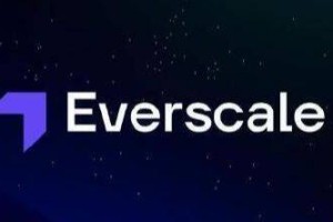 vrscal(VR)币介绍