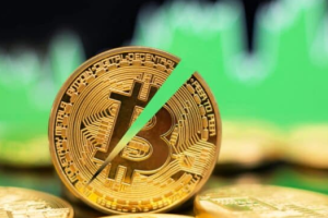 比特币 (BTC) 减半有哪些周期需要关注？