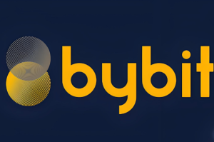 Bybit转币转错了怎么办