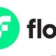 FLOW是什么币种？