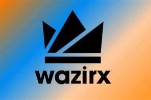 什么是Wazir(WR)币