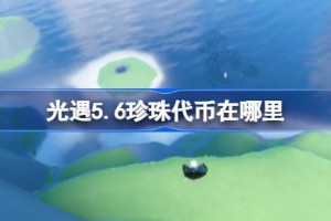 光遇5.6珍珠代币在哪里 光遇5月6日海洋节代币收集攻略