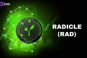 什么是Radicl(RAD)币