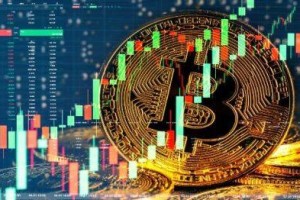 BL（Bllscoin）是什么币