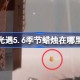 光遇5.6季节蜡烛在哪里 光遇5月6日季节蜡烛位置攻略