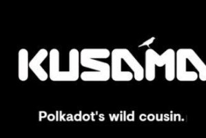 Kusama(KSM)币是什么