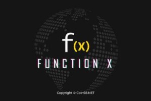 什么是Function(F)币