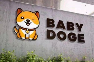 BABYDOG币种介绍