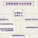 英雄联盟策划真听劝！重拳出击打击违规，还送重磅福利！