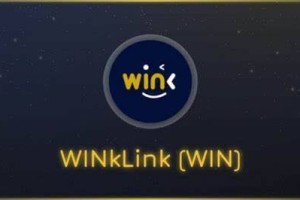 什么是WINkLink币