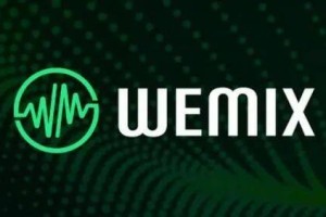 WMI币种介绍
