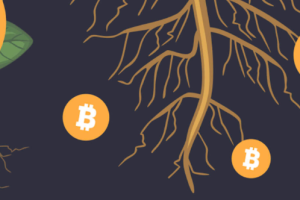 比特币生态铭文热度未必能持续