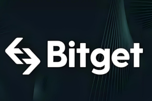 Bitgt交易平台怎么样