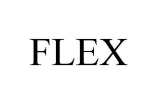 FL币是什么币种