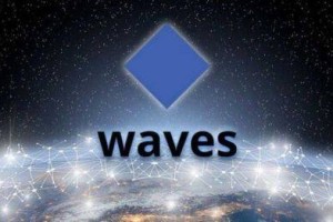 什么是WAVS币?