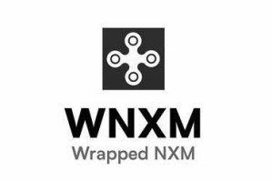 Wrappd NM(WNM)币
