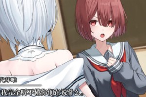 《终将凋零的镜花》游戏特色内容介绍
